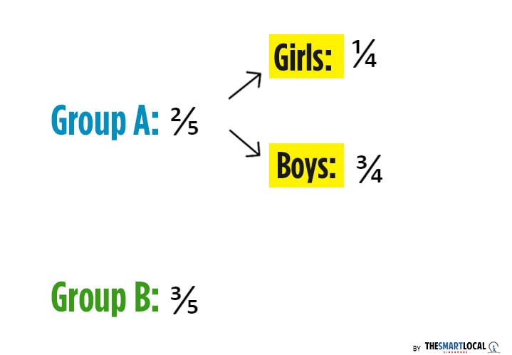 psle maths questions - 2019 fractions question