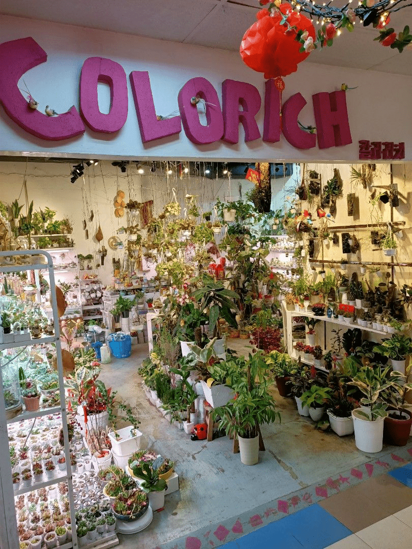 things to do at beauty world colorich plants