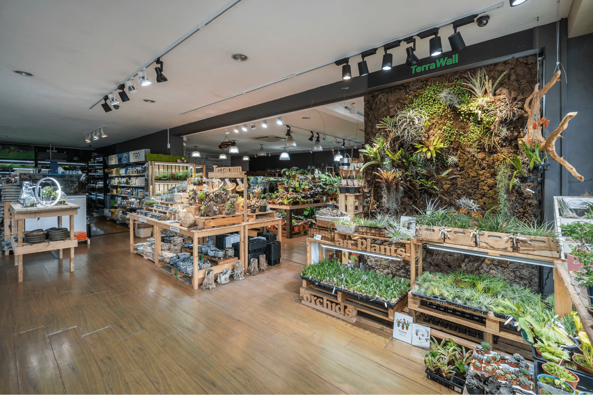 Aquarium shops - green chapter