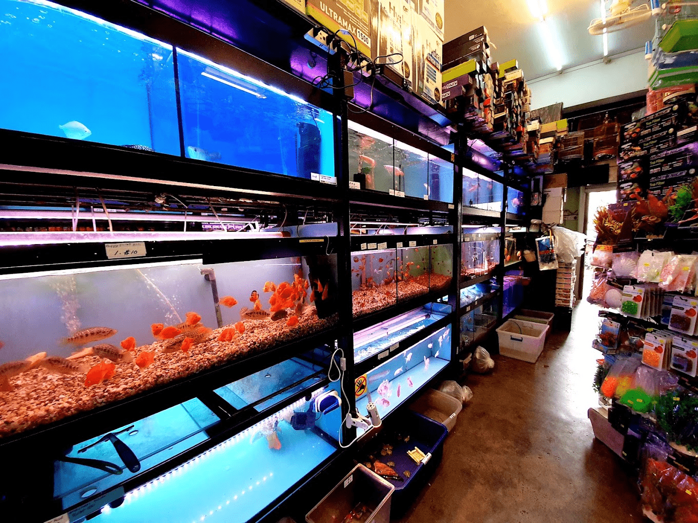 Aquarium shops - 