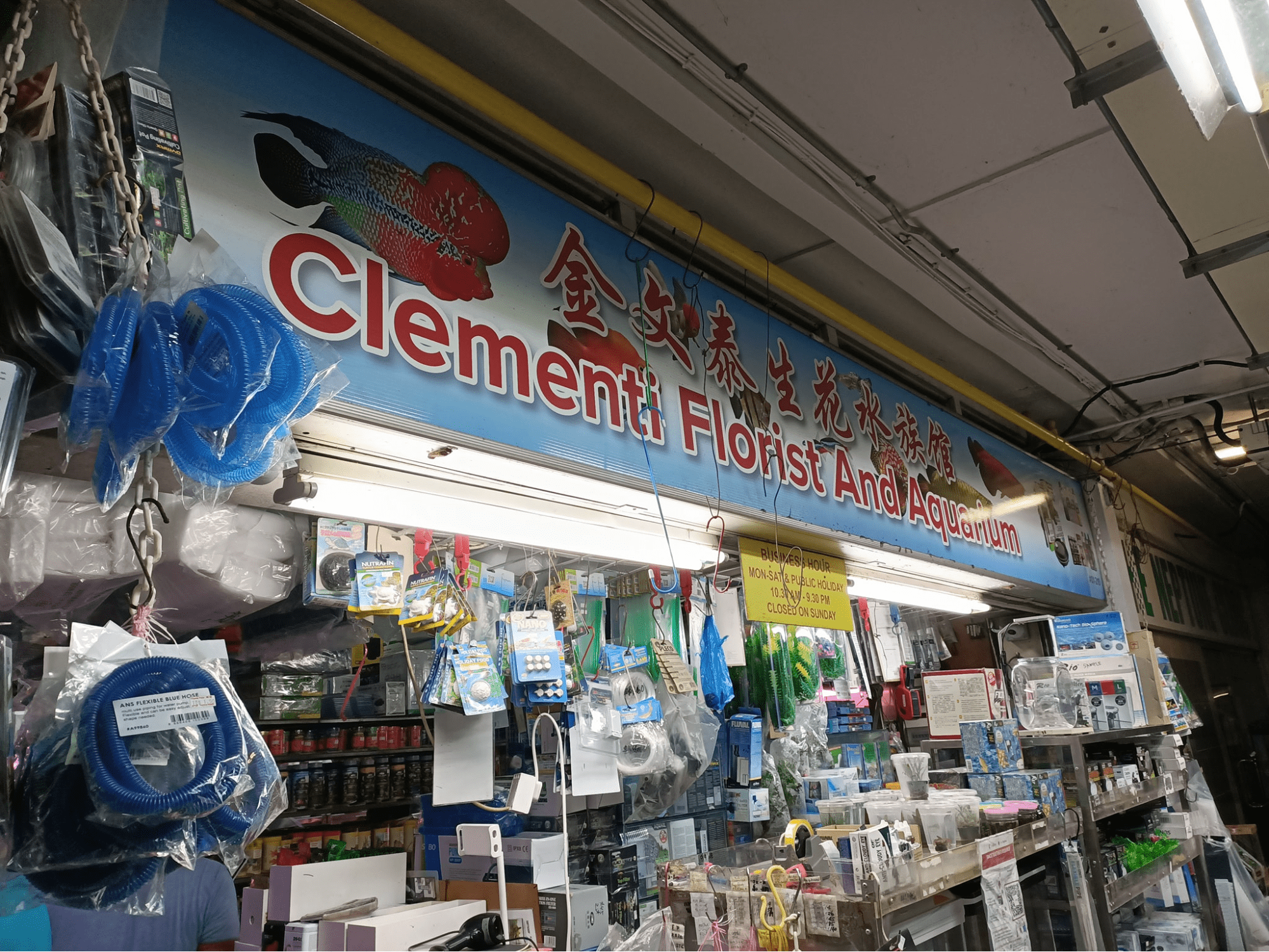 Aquarium shops - shop