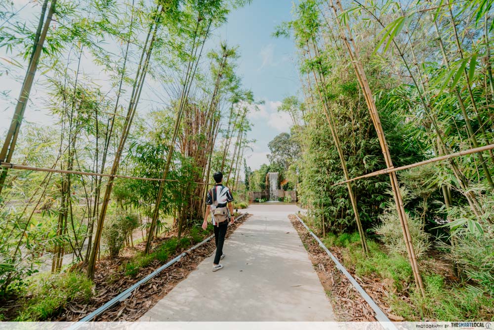 Bamboo Grove - Chinese garden Singapore