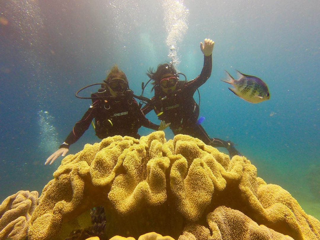 Da Nang - snorkelling