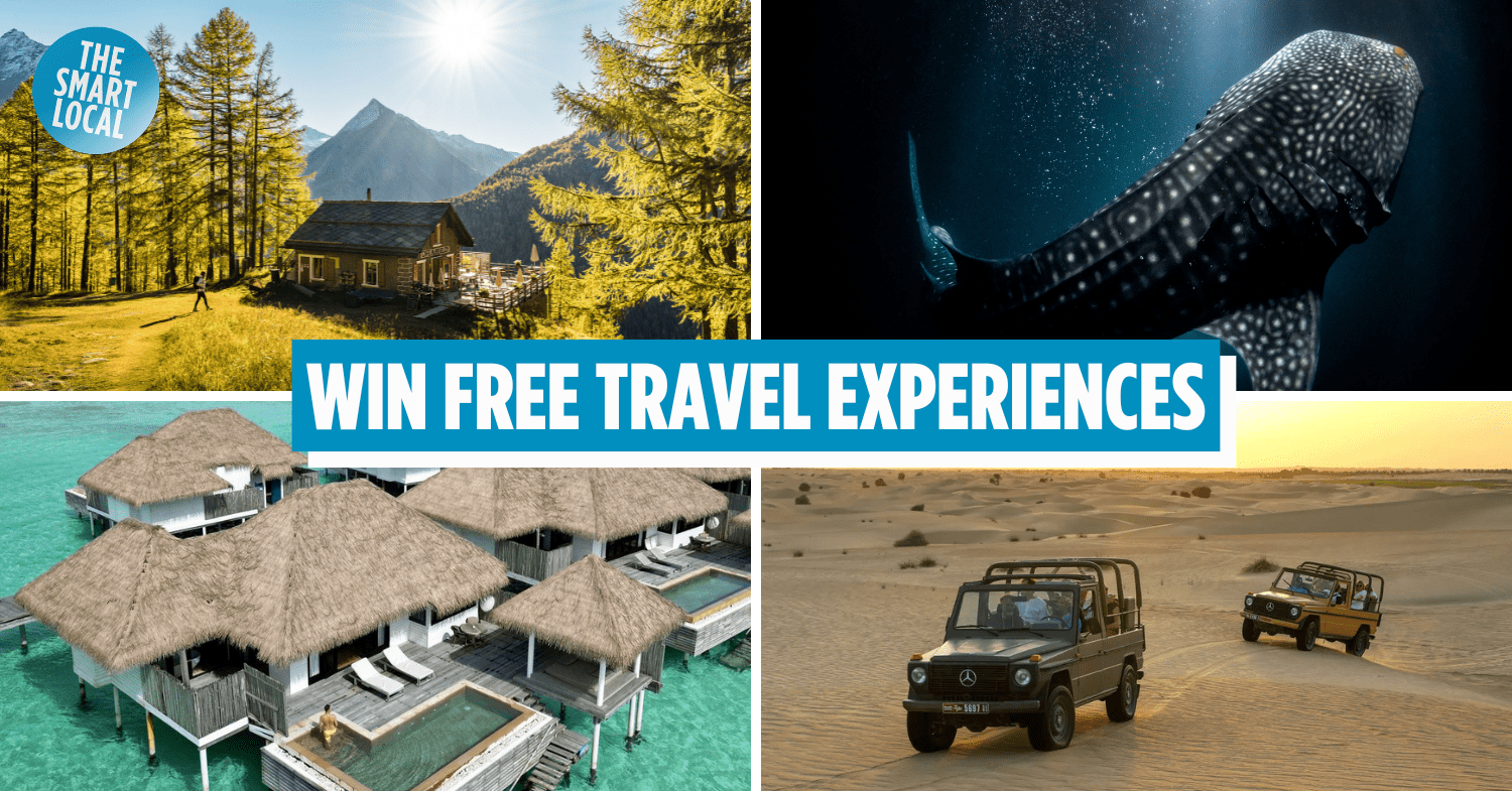 Klook Has Free eSIMs, 1-For-1 Deals & Epic Travel Experiences Like Swimming With Whale Sharks