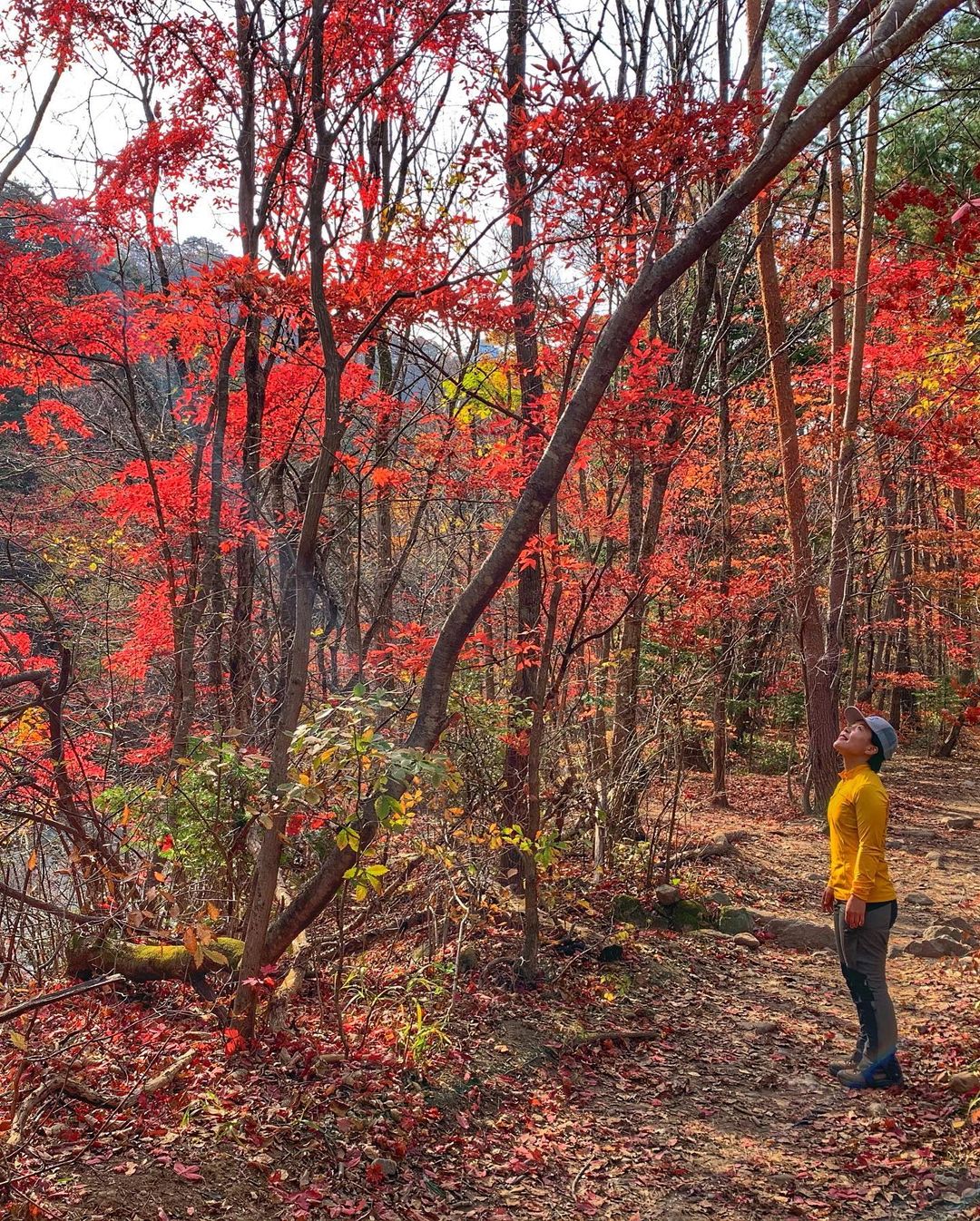 Seoraksan National Park - autumn