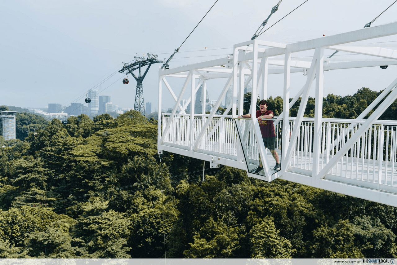 Skypark Sentosa Skybridge Glass