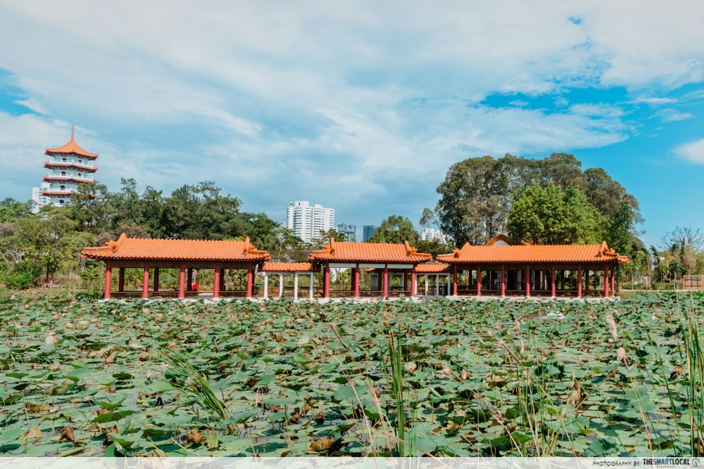 Tea House Pavilion