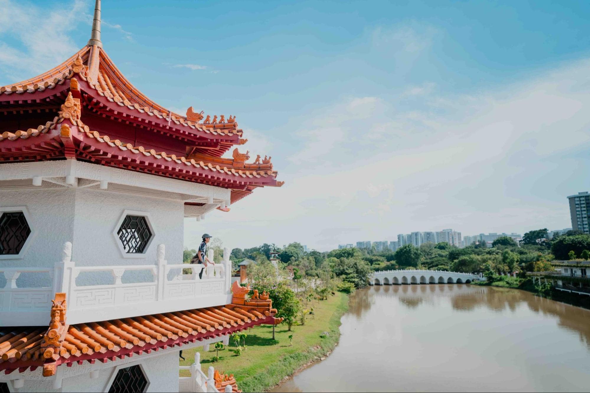 Twin Pagoda view