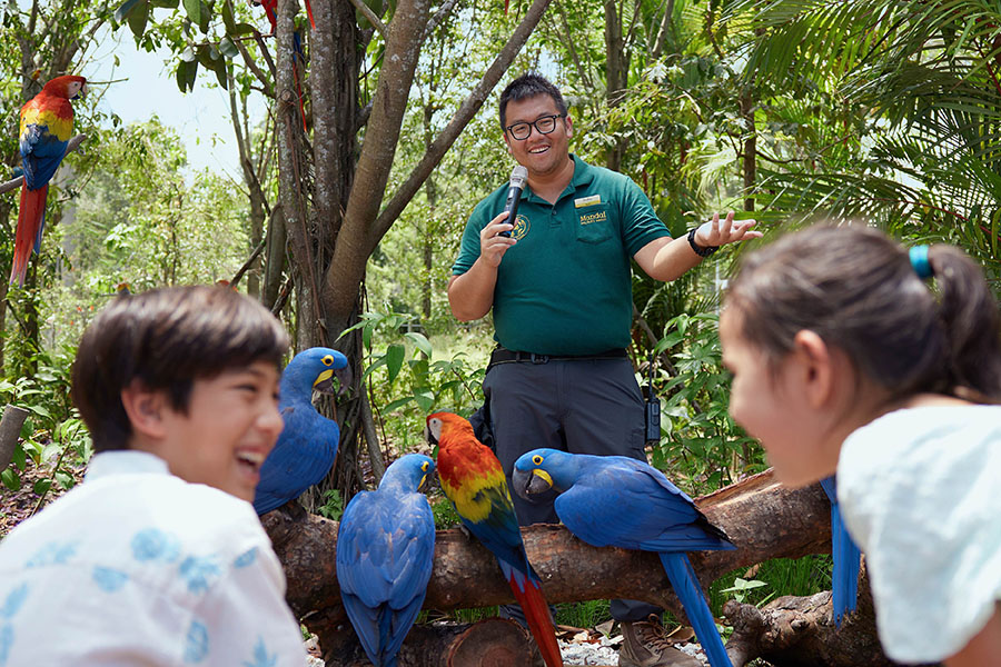 Zookeeper talks- Festive Wild-erland