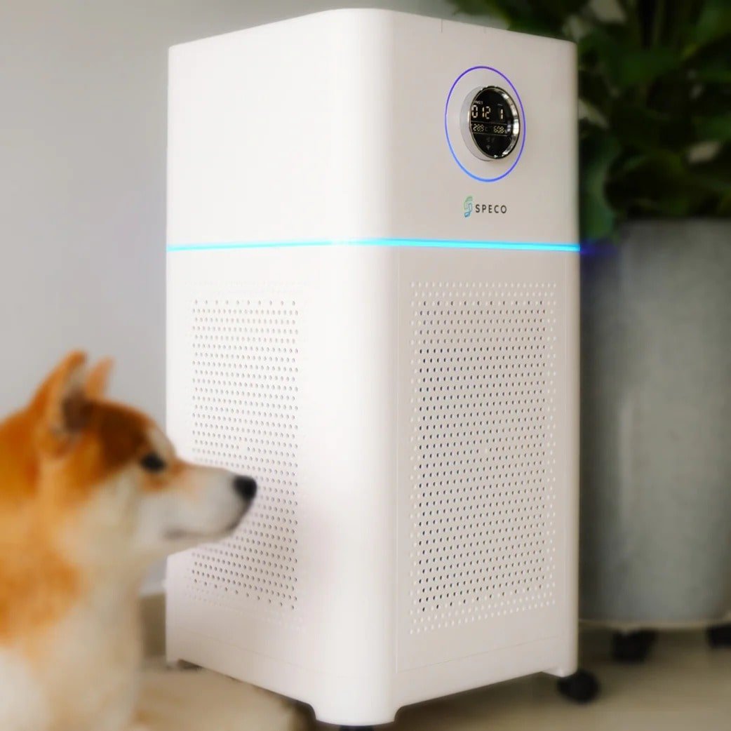 air purifiers singapore speco ion