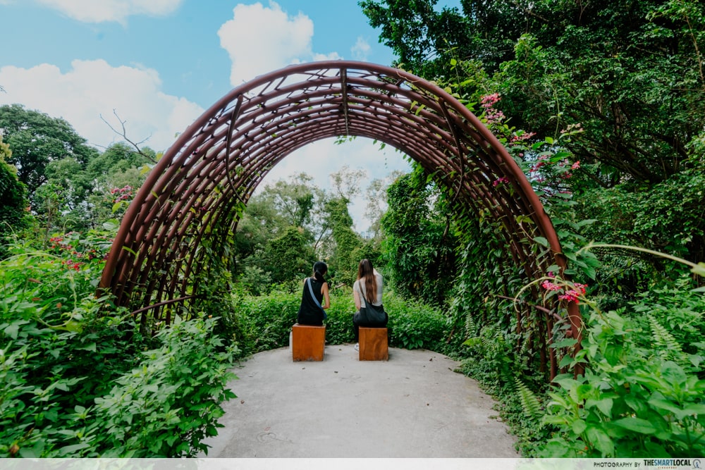 bidadari park birdwatching