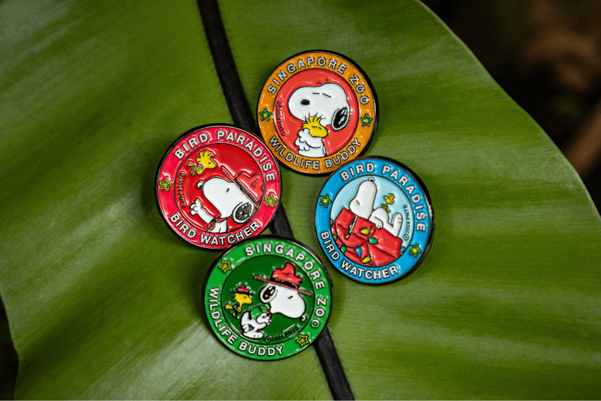 glamping in the wild 2024 snoopy badges