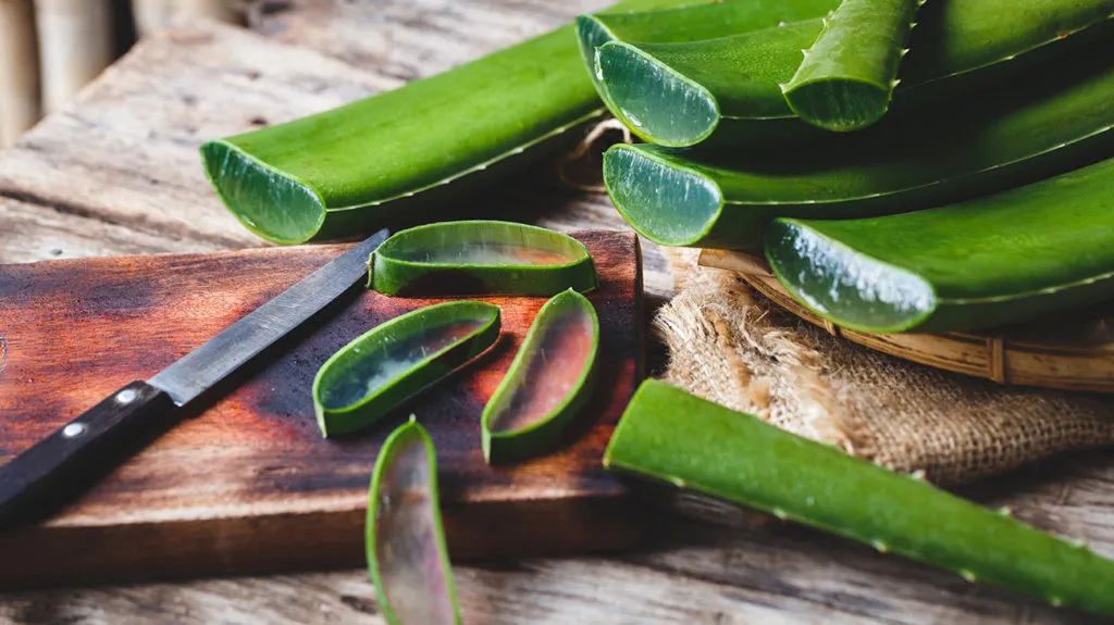 hair care tips - aloe vera mask