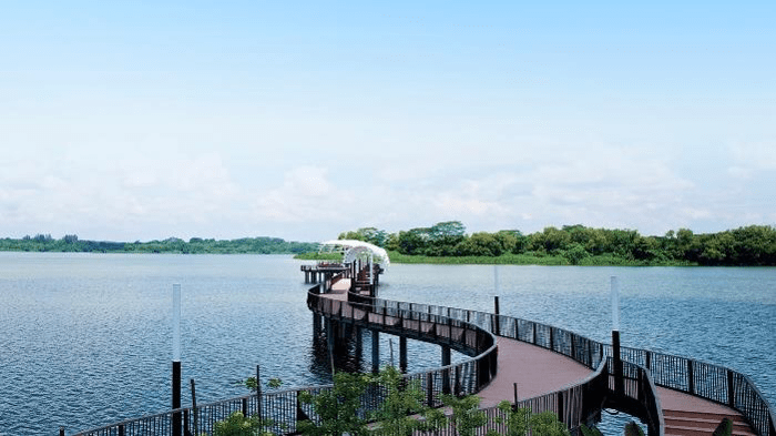 kayak in singapore lower seletar reservoir