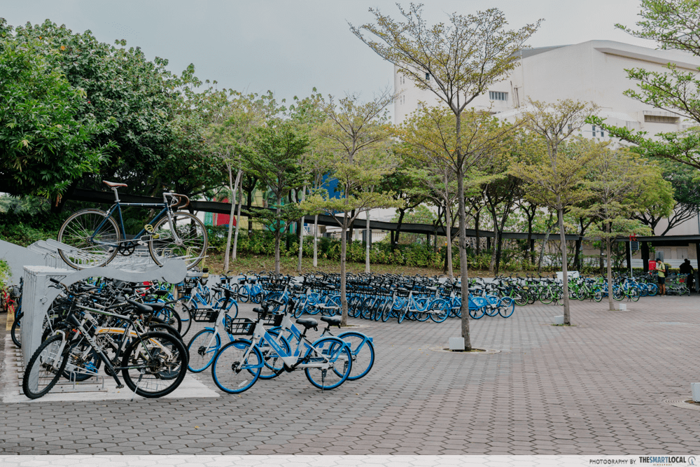  bike sharing