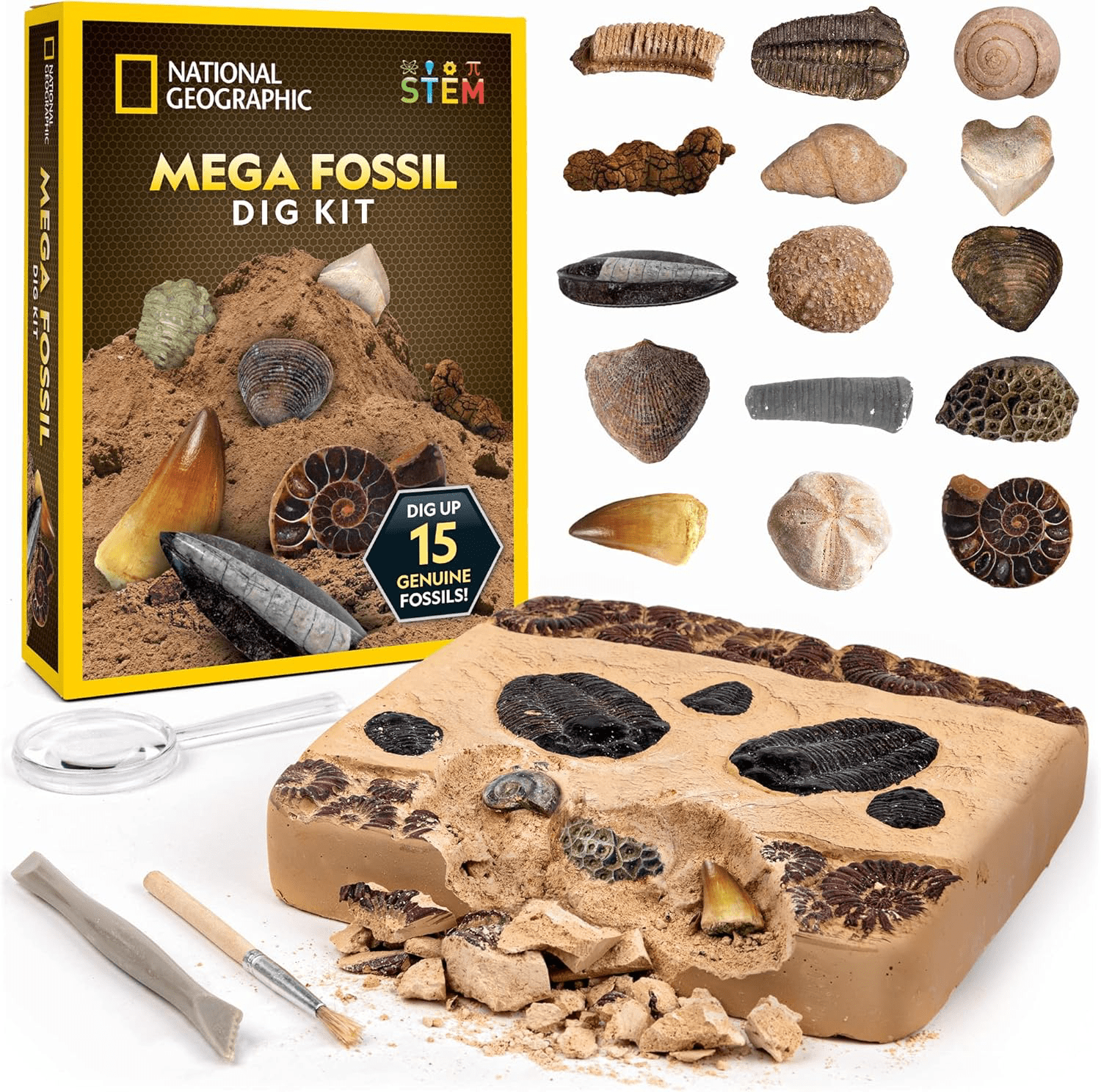 Best Amazon 11.11 deals in 2024 - National geographic fossils kit