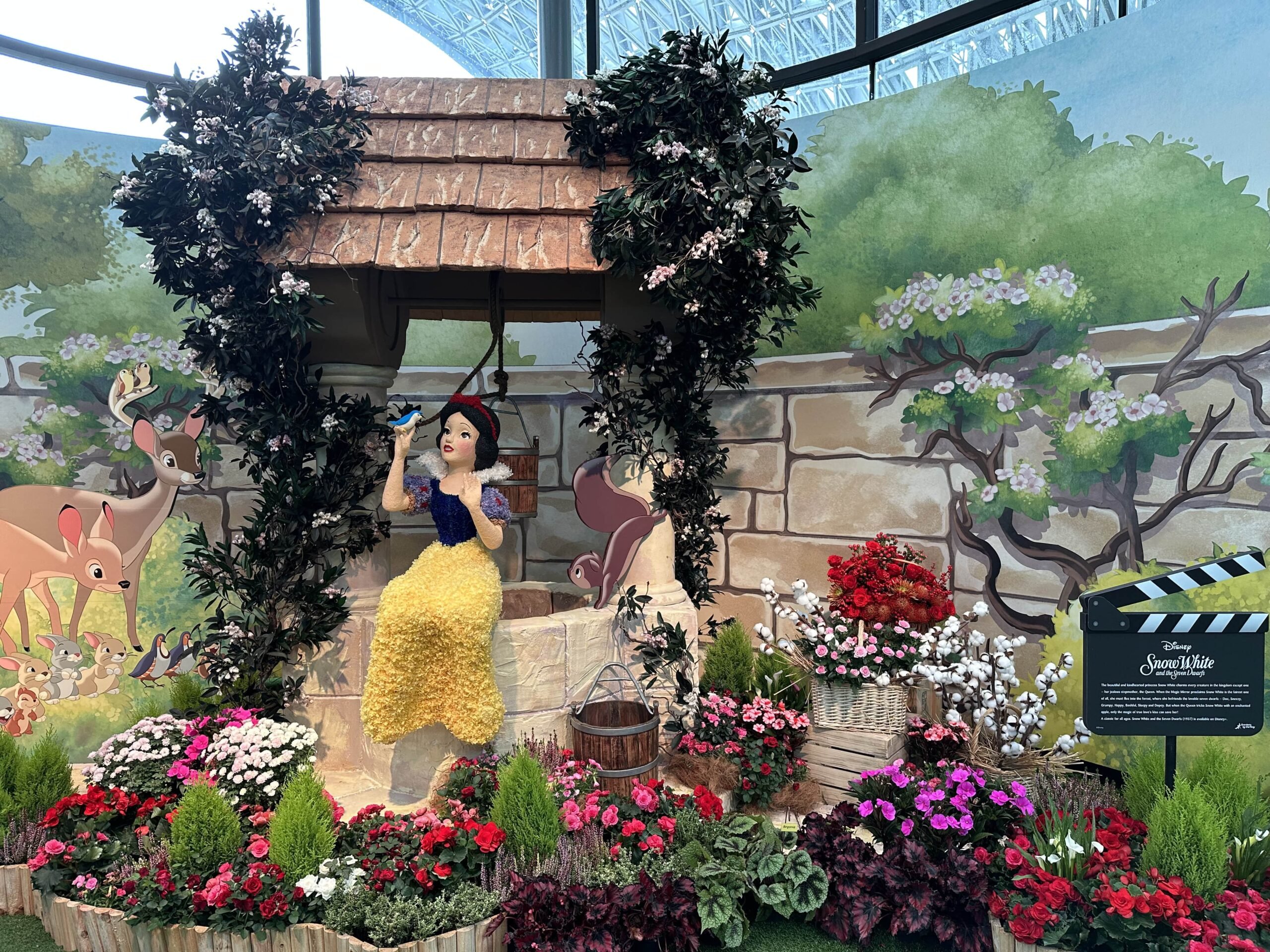 Disney Garden Of Wonder Floral Fantasy - Snow White