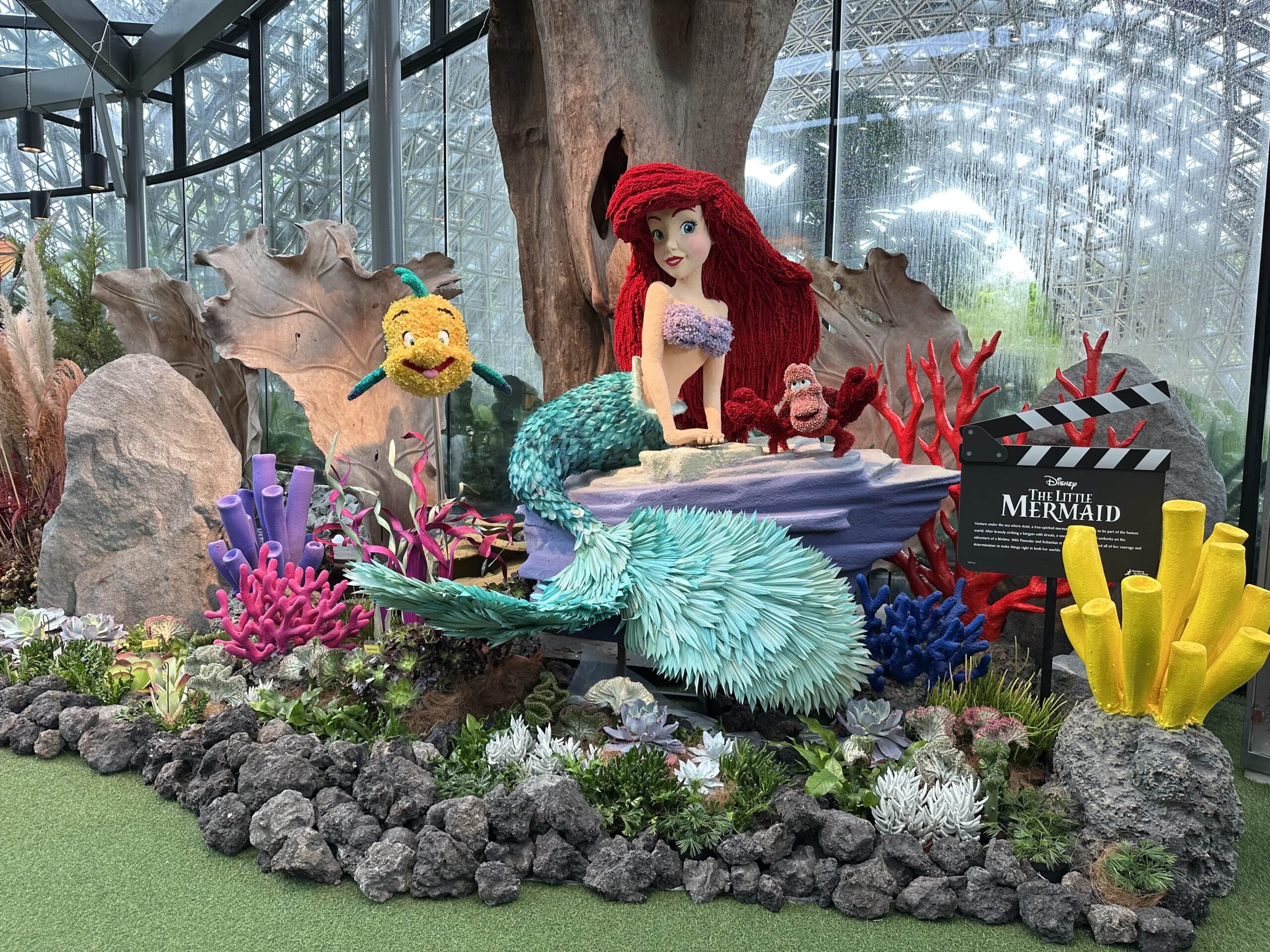 Disney Garden Of Wonder Floral Fantasy - The Little Mermaid