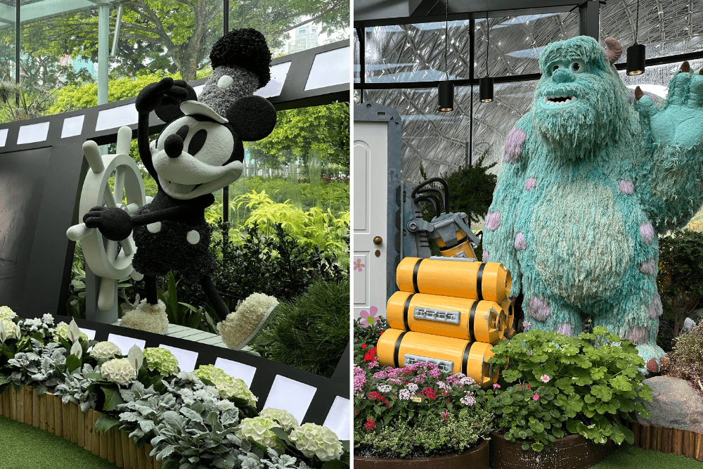 Disney Garden of Wonder - Steamboat Willie & Monsters Inc