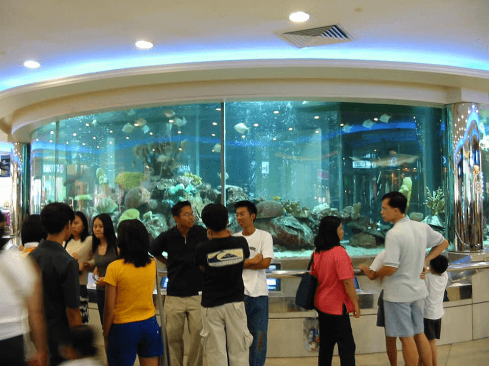 People gathering at Wisma Atria aquarium