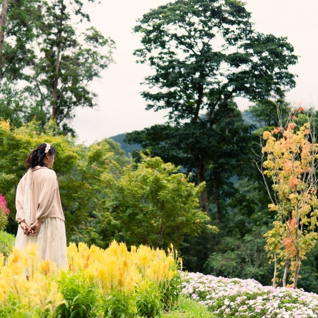 taichung - lavenders