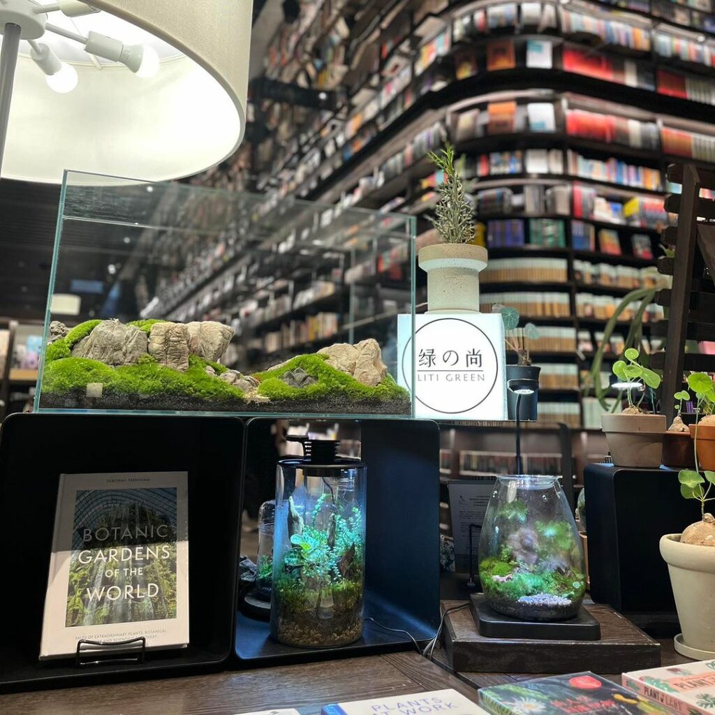 Tsutaya Bookstore AEON Mall - plant decor