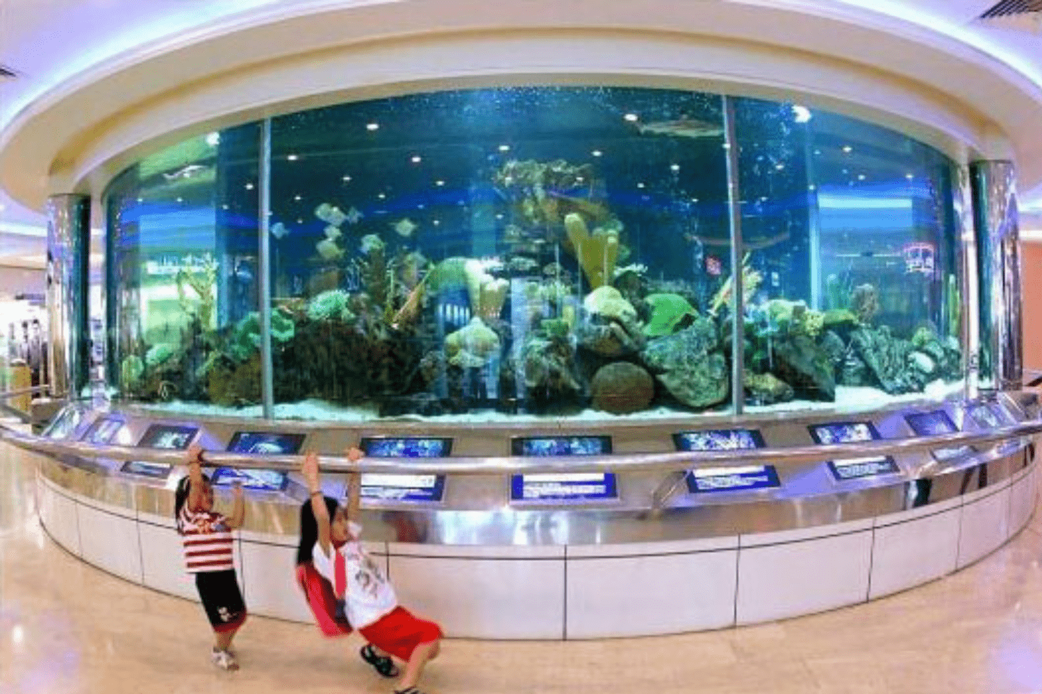 Wisma Atria aquarium