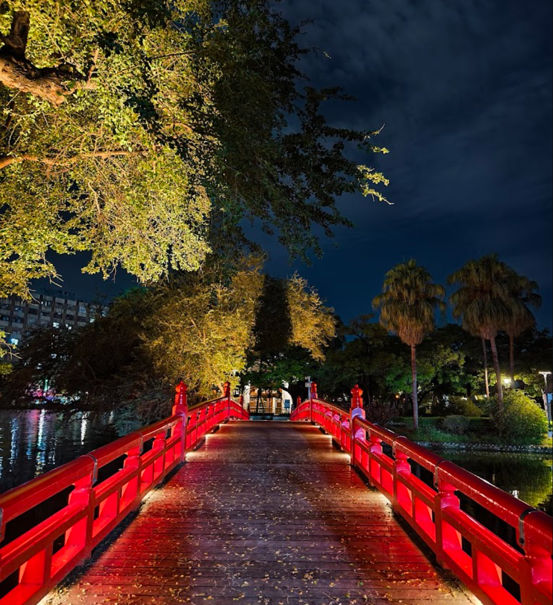 taichung - redb bridge