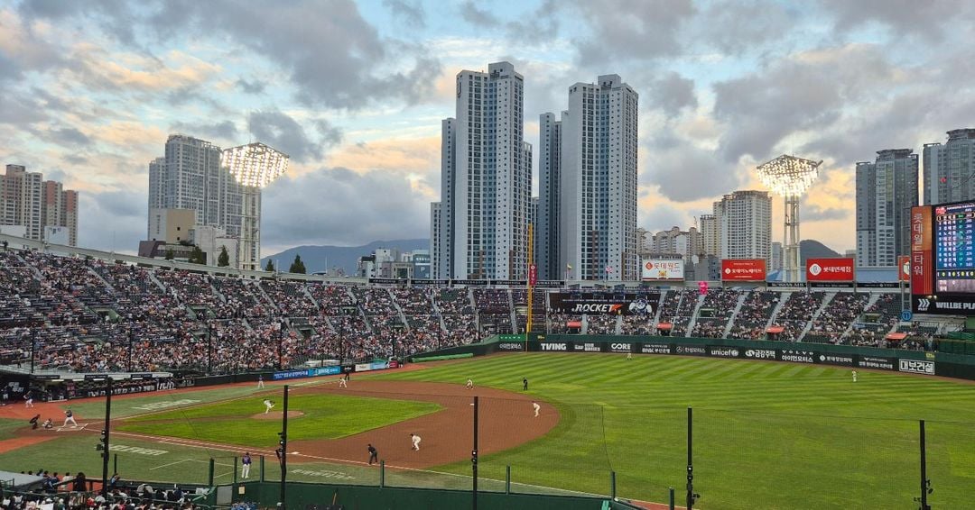 things to do in busan sajik stadium