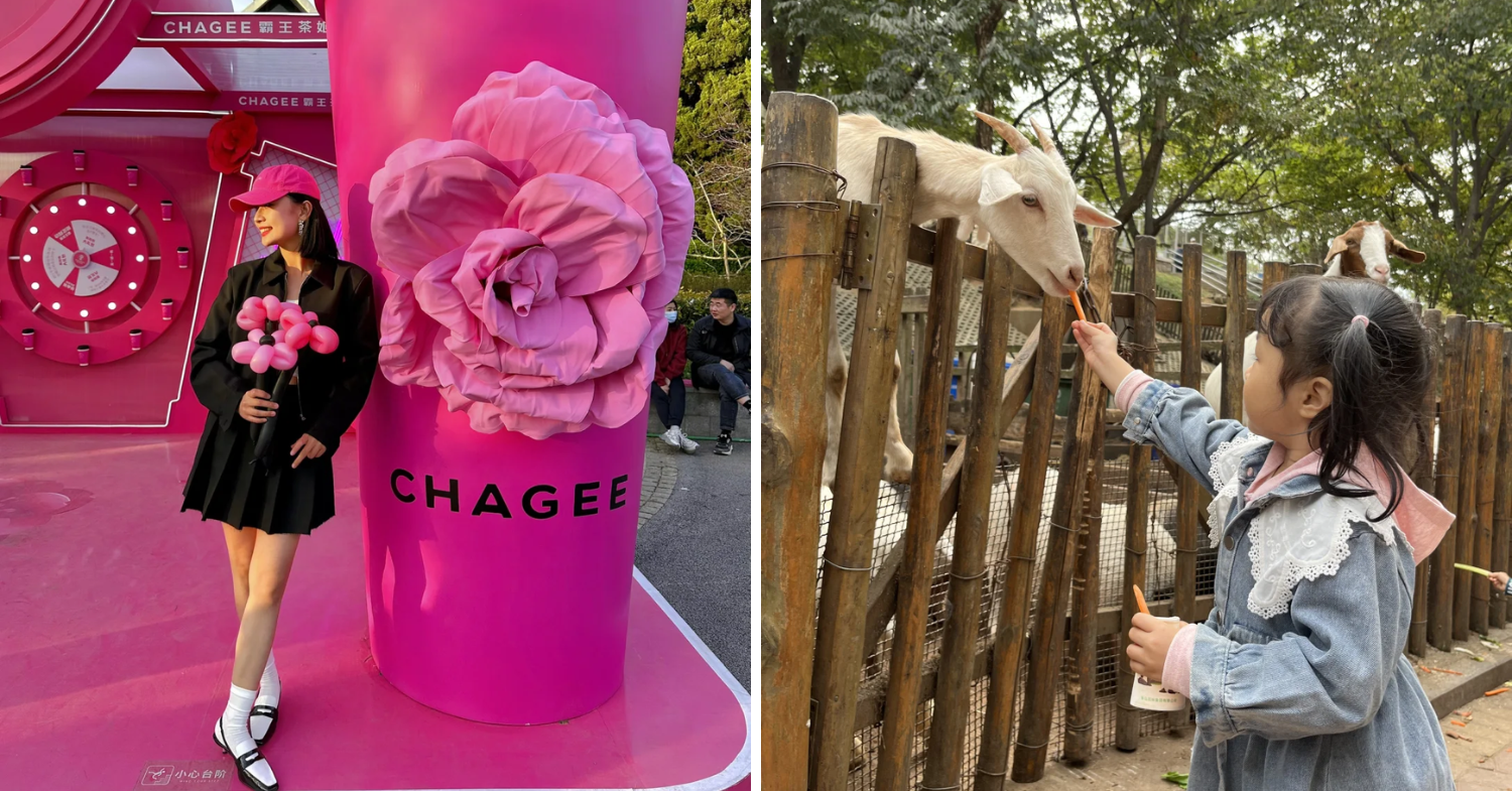 Chagee pop-up and Qingdao Zoo