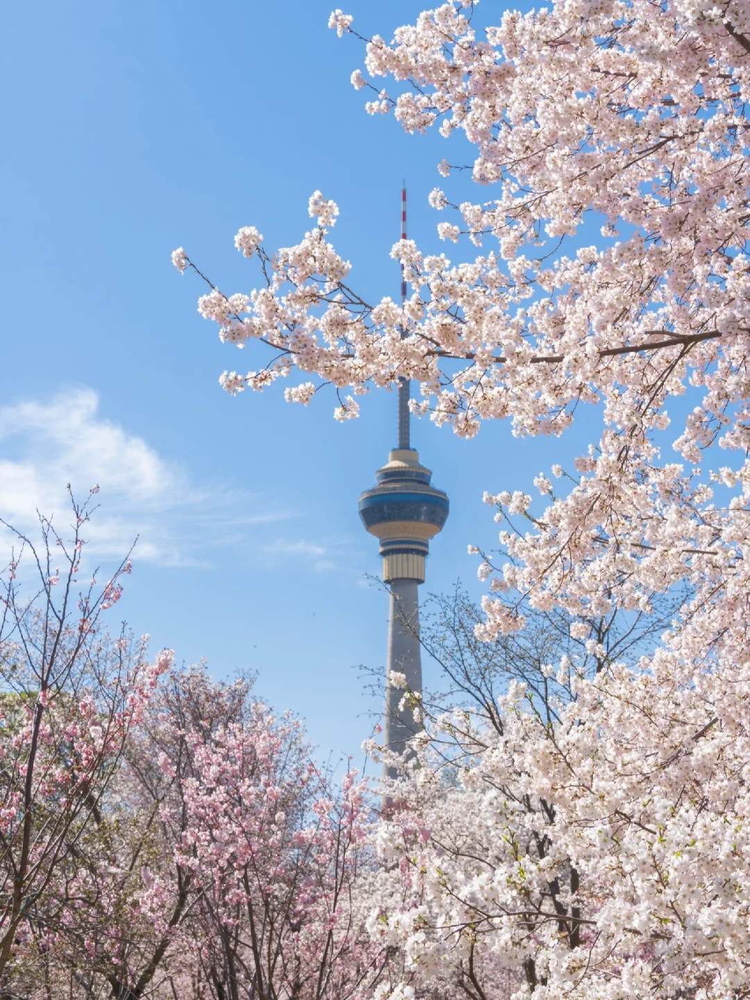 China Central Radio and Television Tower