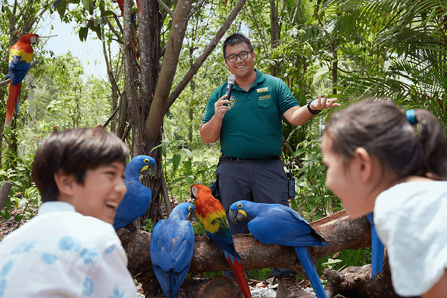 Christmas Events In SG - Bird Paradise