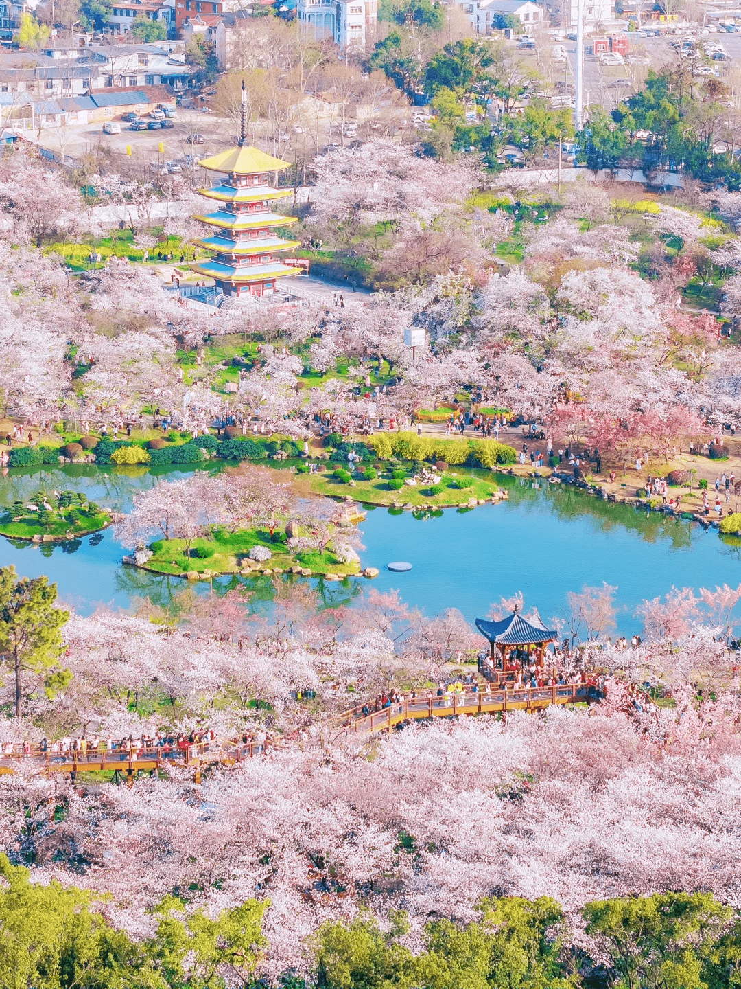 East Lake Cherry Blossom Park