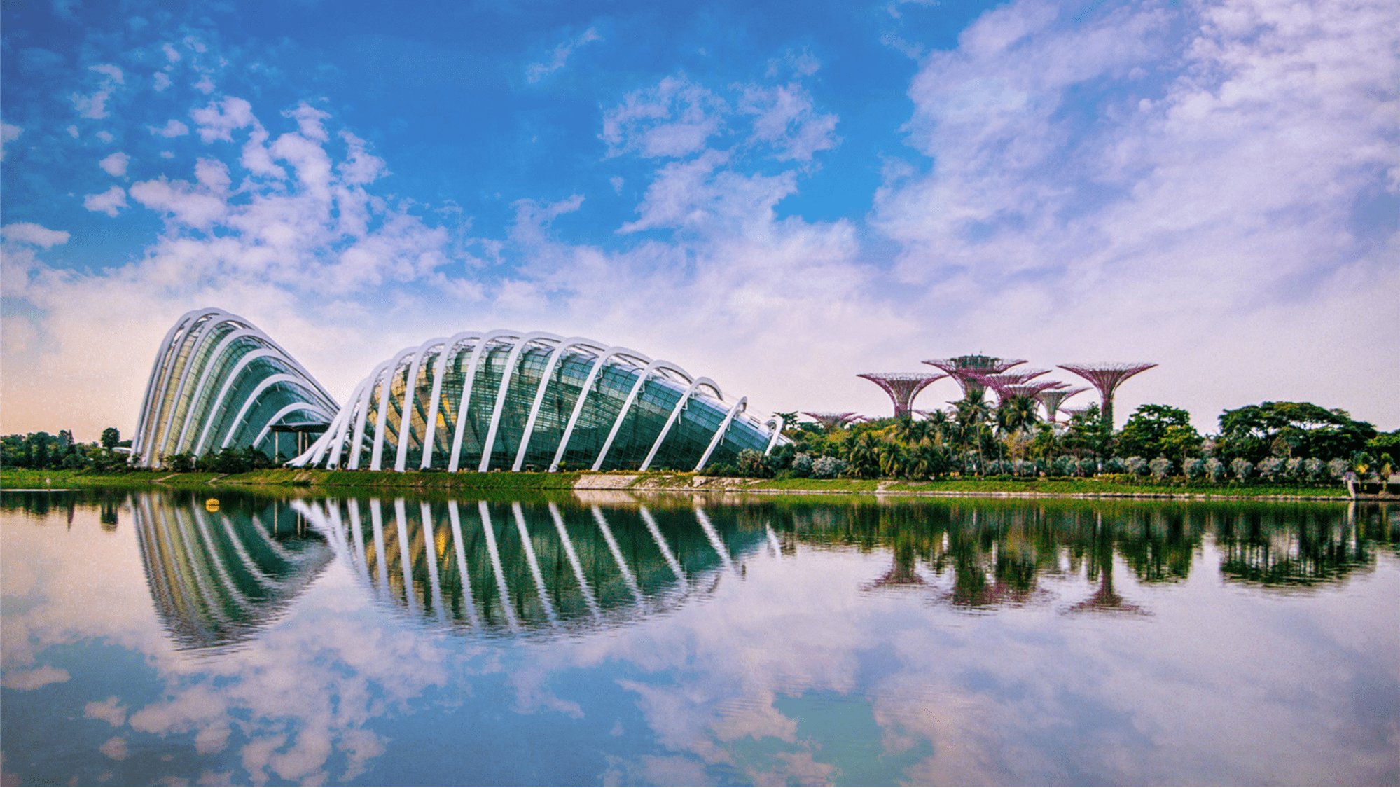 Gardens by the Bay