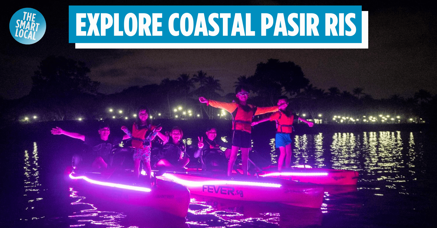 Glow-In-The-Dark Kayaking – Paddle Through The Night With LED-Lit Kayaks In Singapore