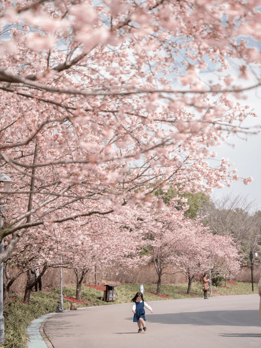 Gucun Park