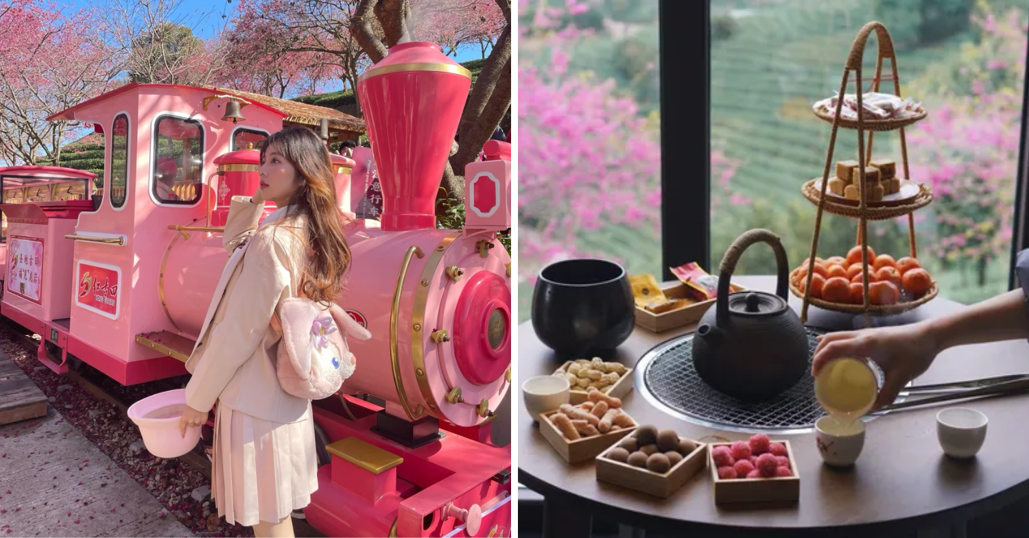 Pink train and tea house - Cherry Blossoms China