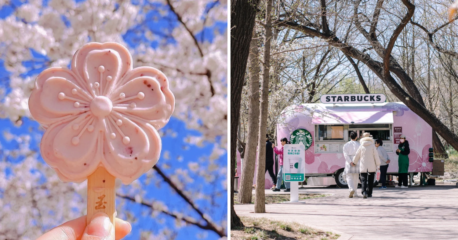 Sakura popsicle and Starbucks