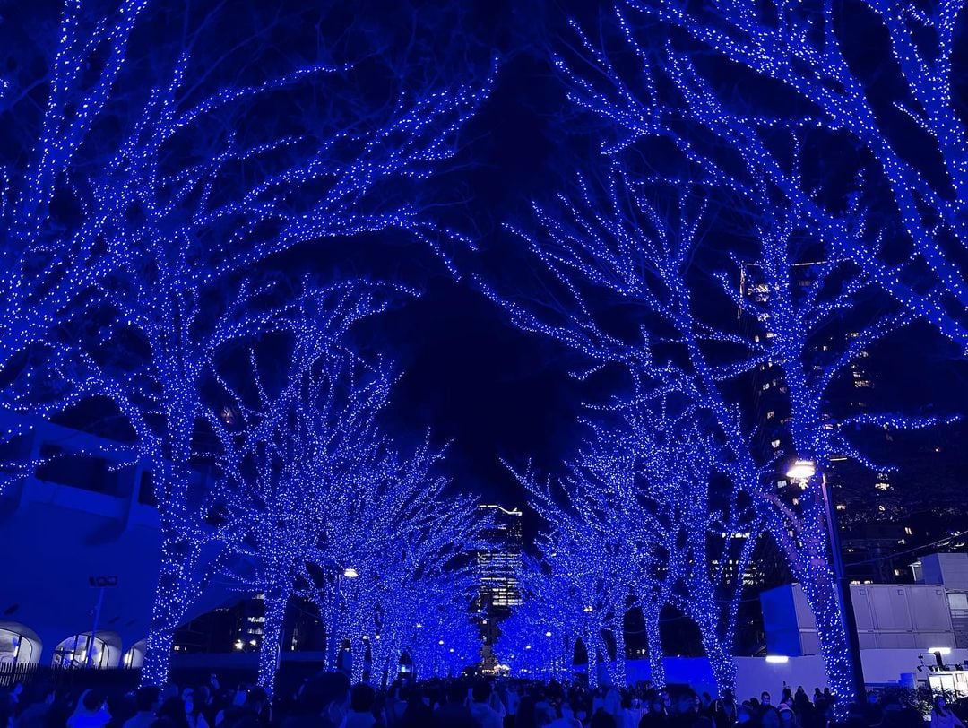 Christmas in Toko - Blue Cave Street