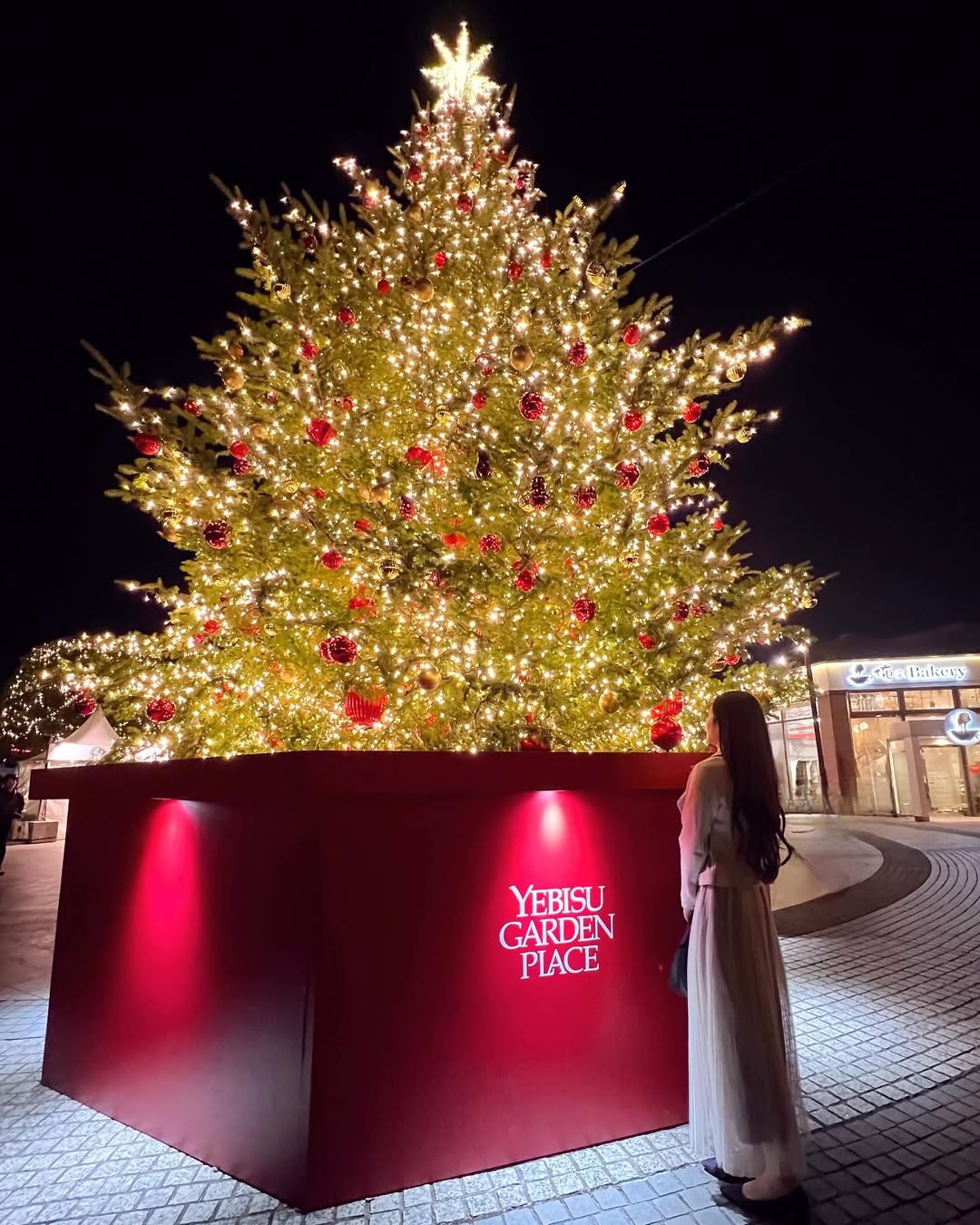 Christmas in Toko - Yebisu Garden Place