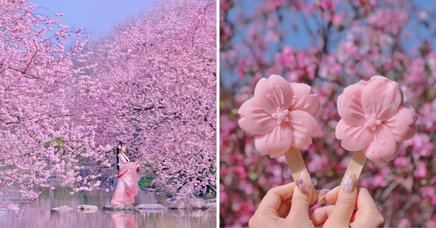 Wearing hanfu and sakura popsicles