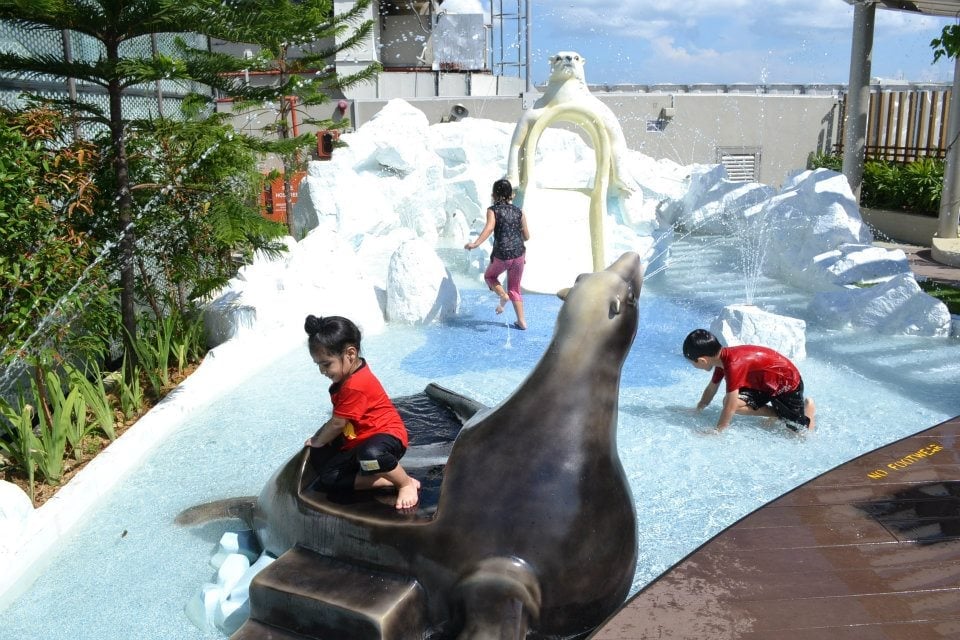 Wildlife Wet Play Area arctic area