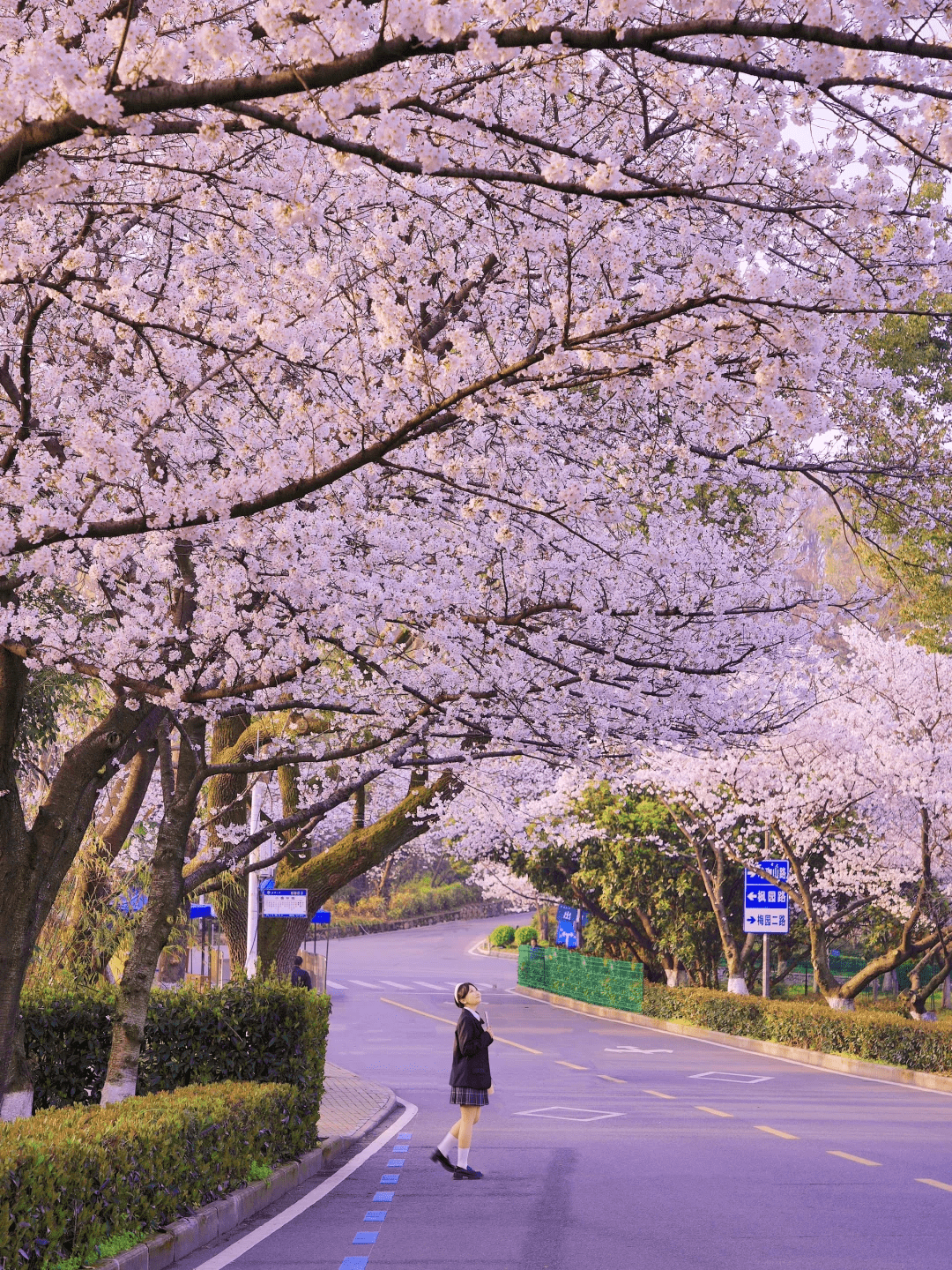 Wuhan University