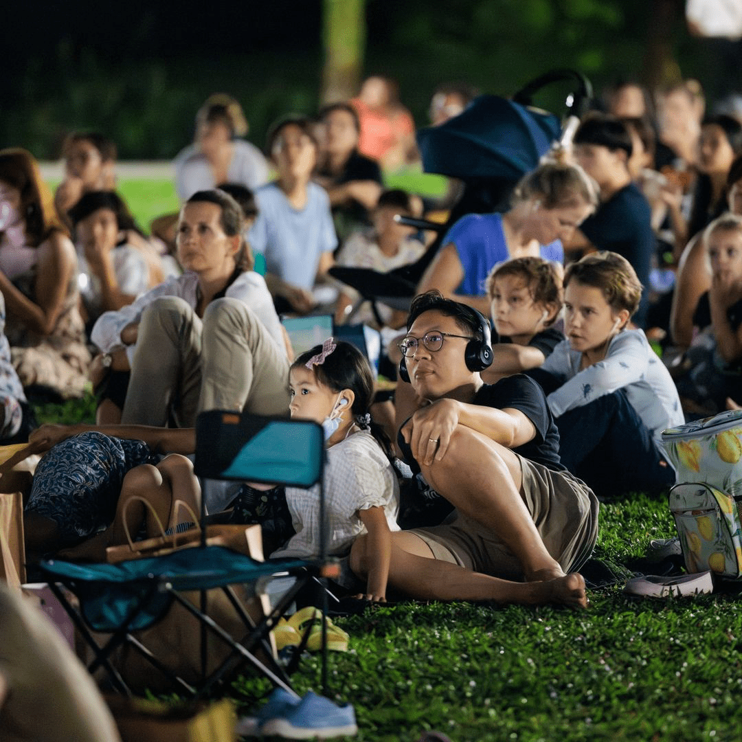 nightflix somerset picnic