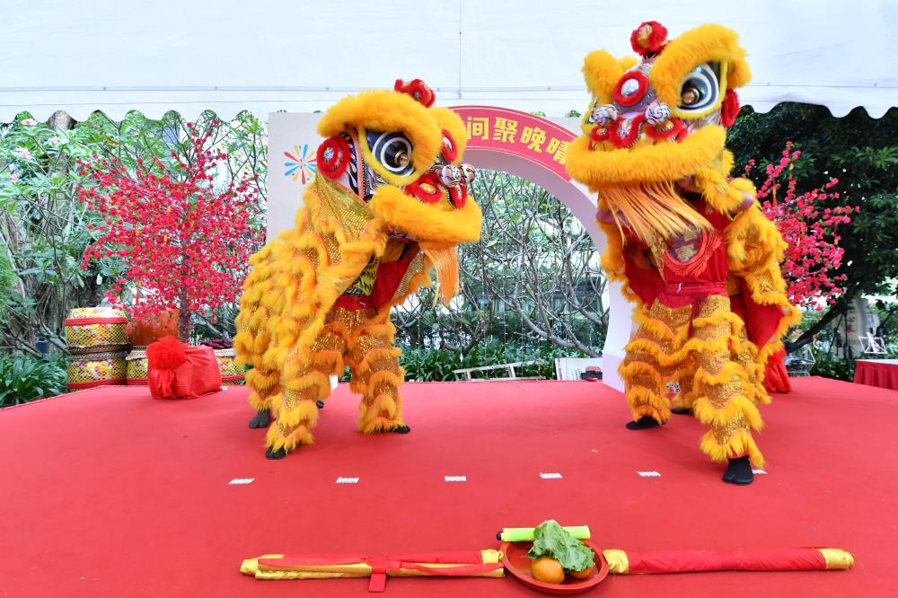 Lion dance