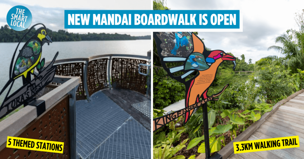 Mandai Boardwalk - cover