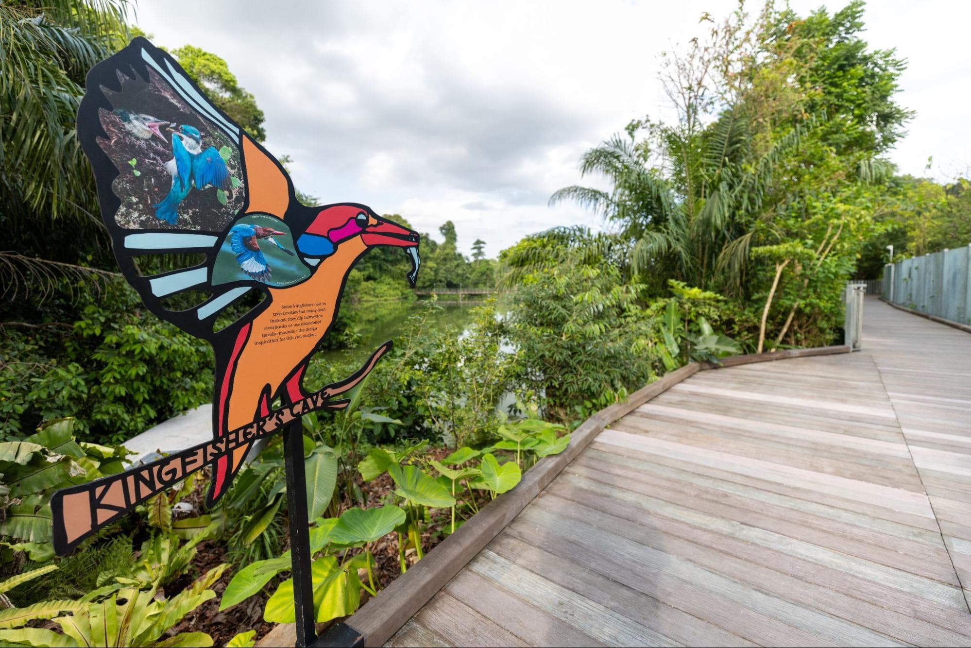 Mandai Boardwalk - kingfisher's cave