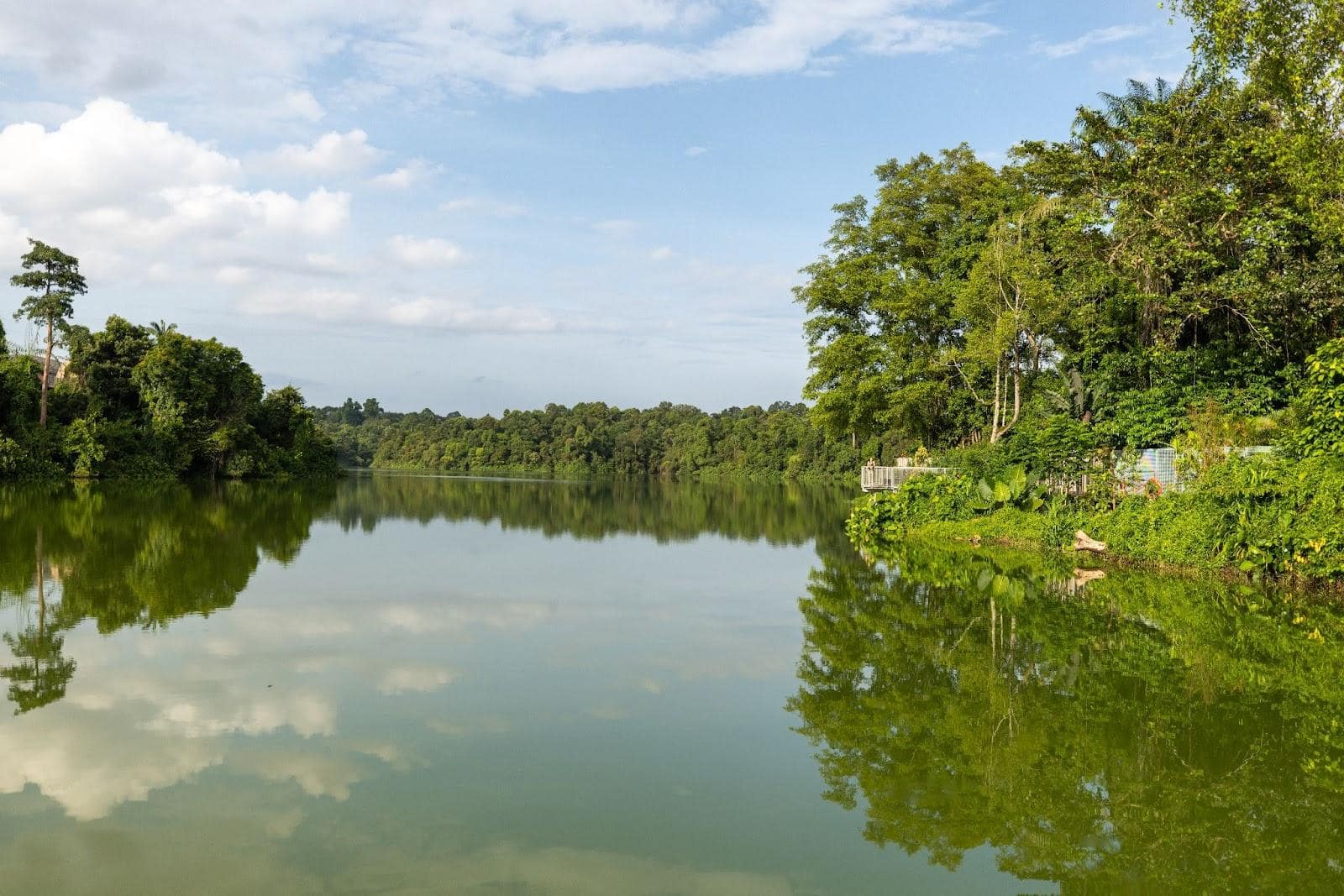 Mandai Boardwalk - view