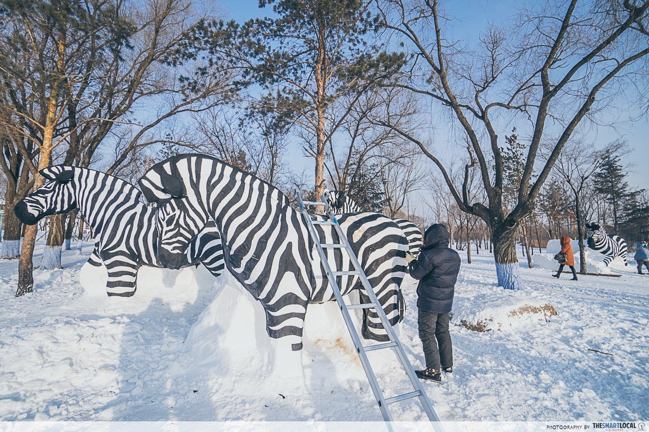 harbin things to do - Sun Island - zebra