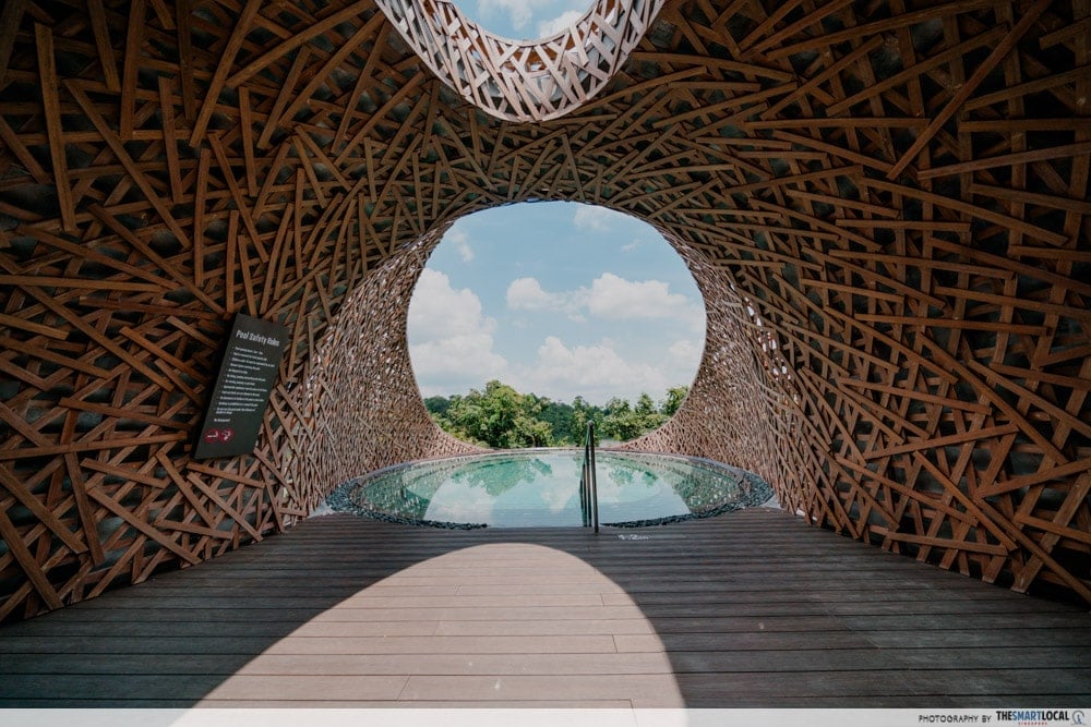 Mandai Rainforest Resort - pool 2